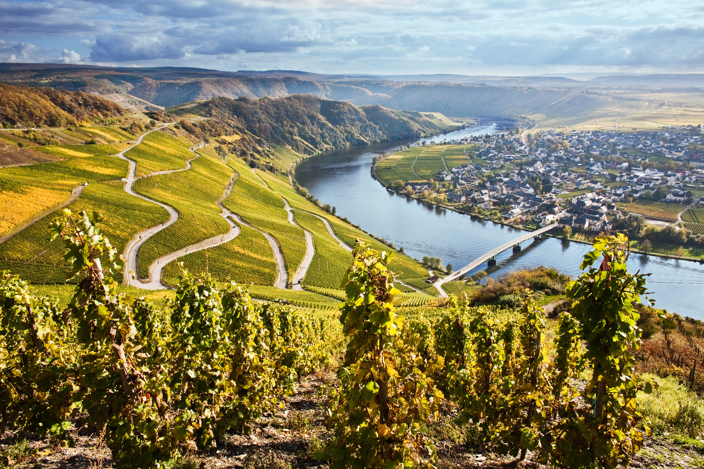 Portfolio Thumbnail Image